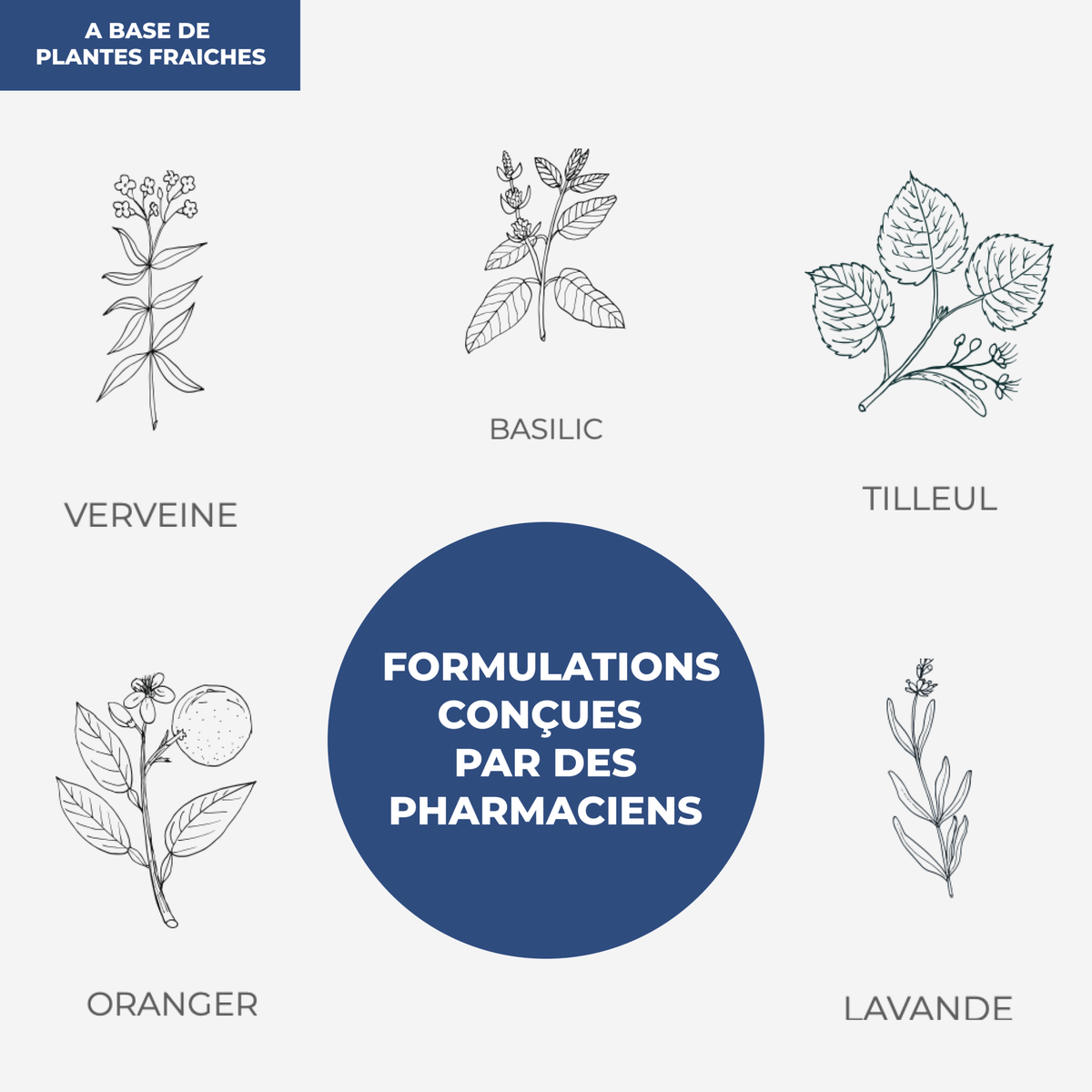 Tisane - Sommeil - Officine Immortelle