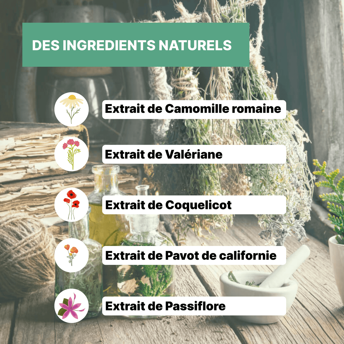 Elixir Sommeil - Formule sans Mélatonine - Officine Immortelle