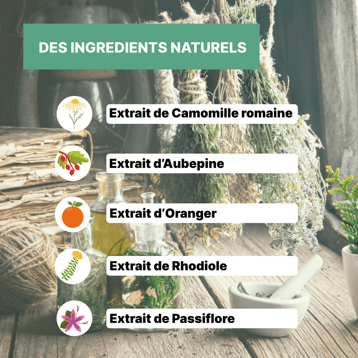 Elixir - Stress - Officine Immortelle