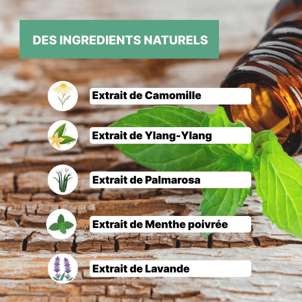 Huile de soin Peau Parfaite - Officine Immortelle
