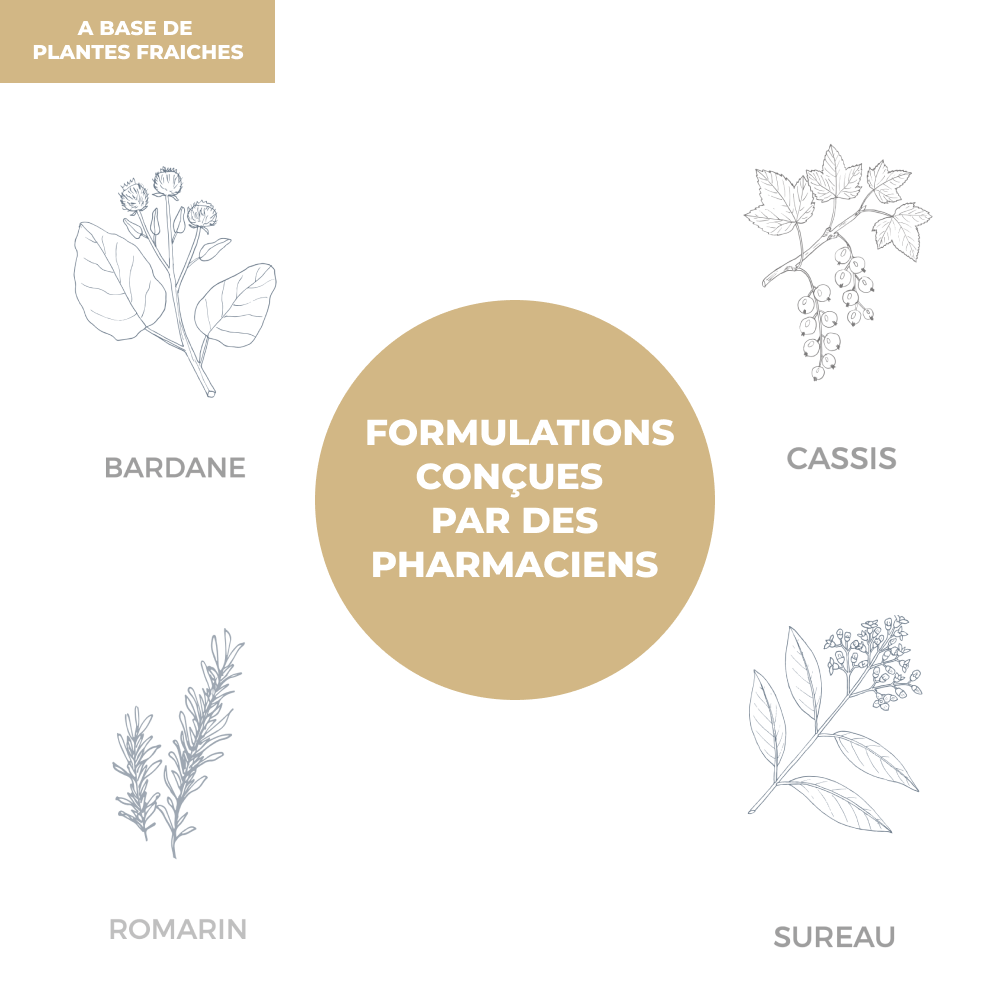 Tisane - Peau - Officine Immortelle