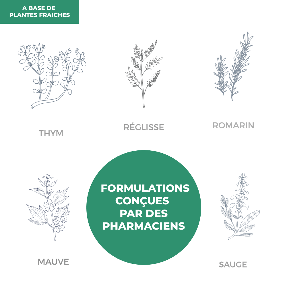 Tisane - Système Respiratoire - Officine Immortelle